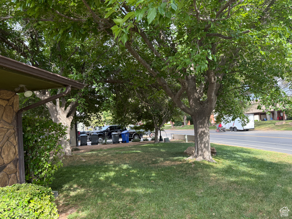 View of green lawn