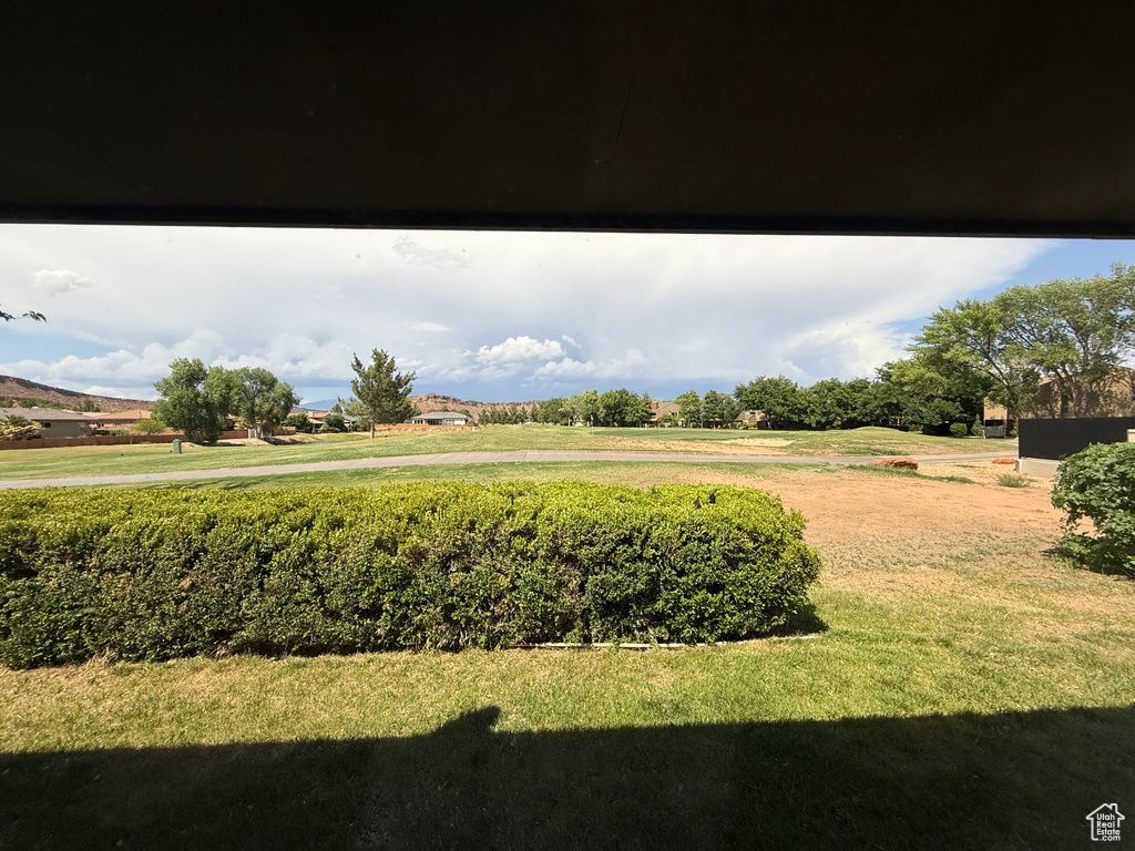 View of grassy yard