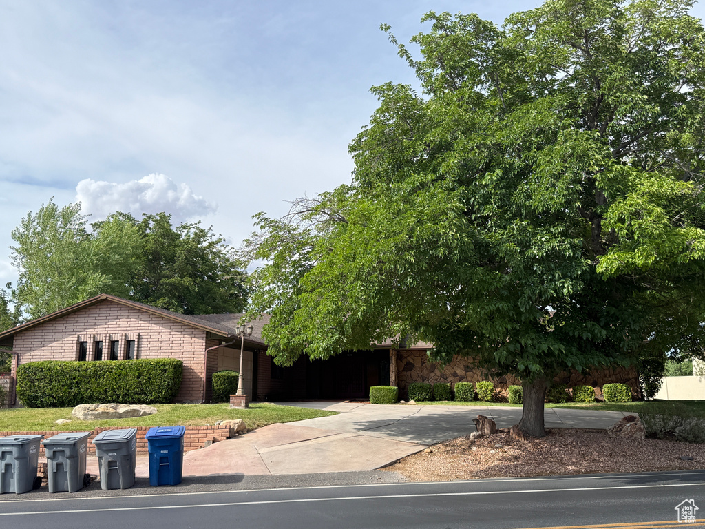 View of property hidden behind natural elements featuring concrete driveway and brick siding