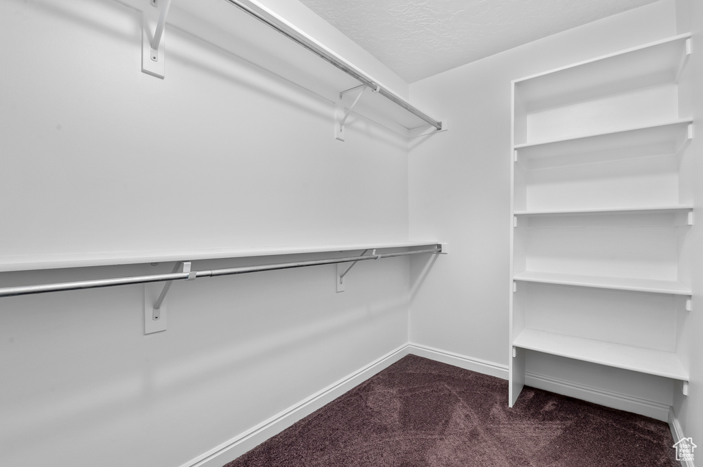 Spacious closet with dark carpet