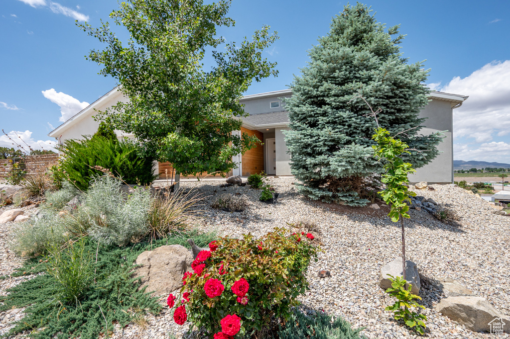 Obstructed view of property with stucco siding