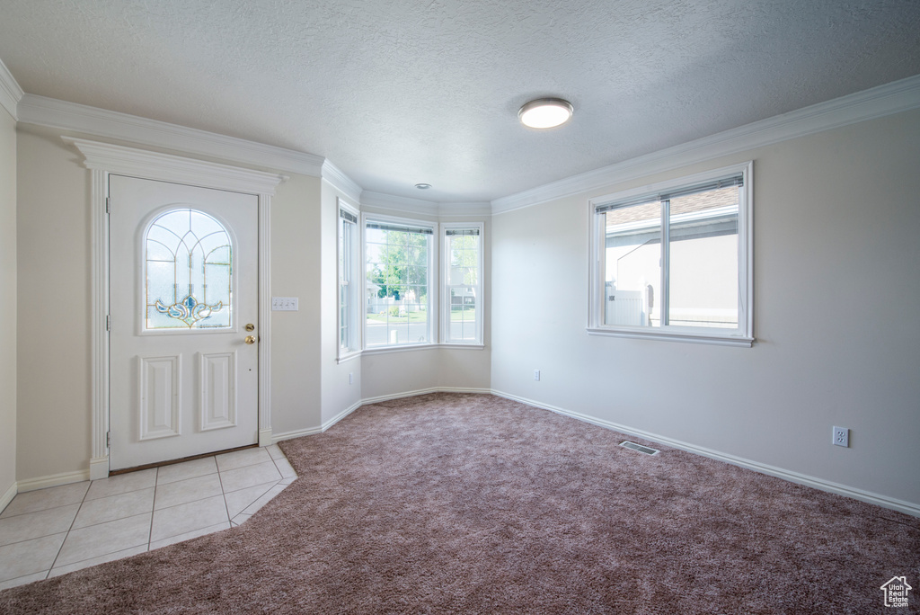 Foyer entrance with light colored carpet, healthy amount of natural light, ornamental molding, baseboards, and a textured ceiling