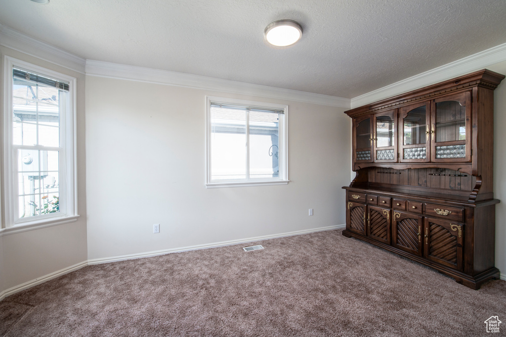 Carpeted empty room with plenty of natural light, crown molding, baseboards, and a textured ceiling