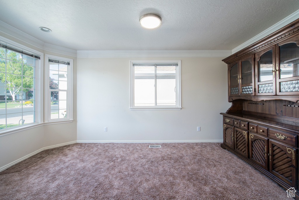 Carpeted spare room featuring crown molding, baseboards, and a textured ceiling