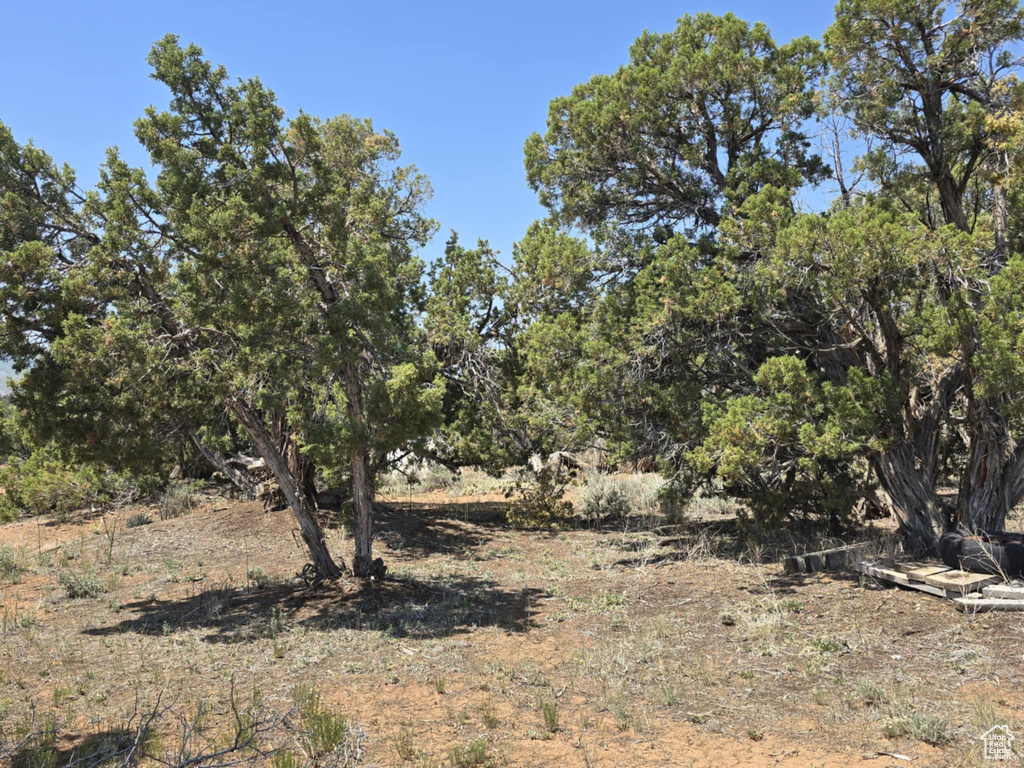 6439 S 43370 W Fruitland, UT 84027