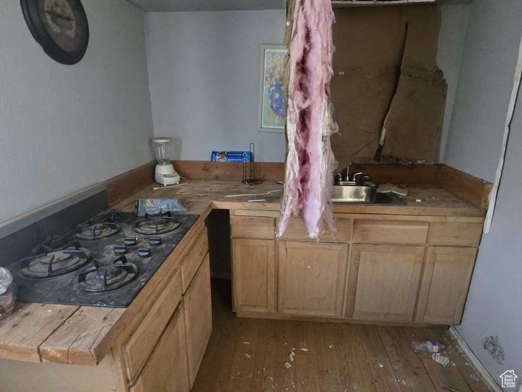 6439 S 43370 W Fruitland, UT 84027