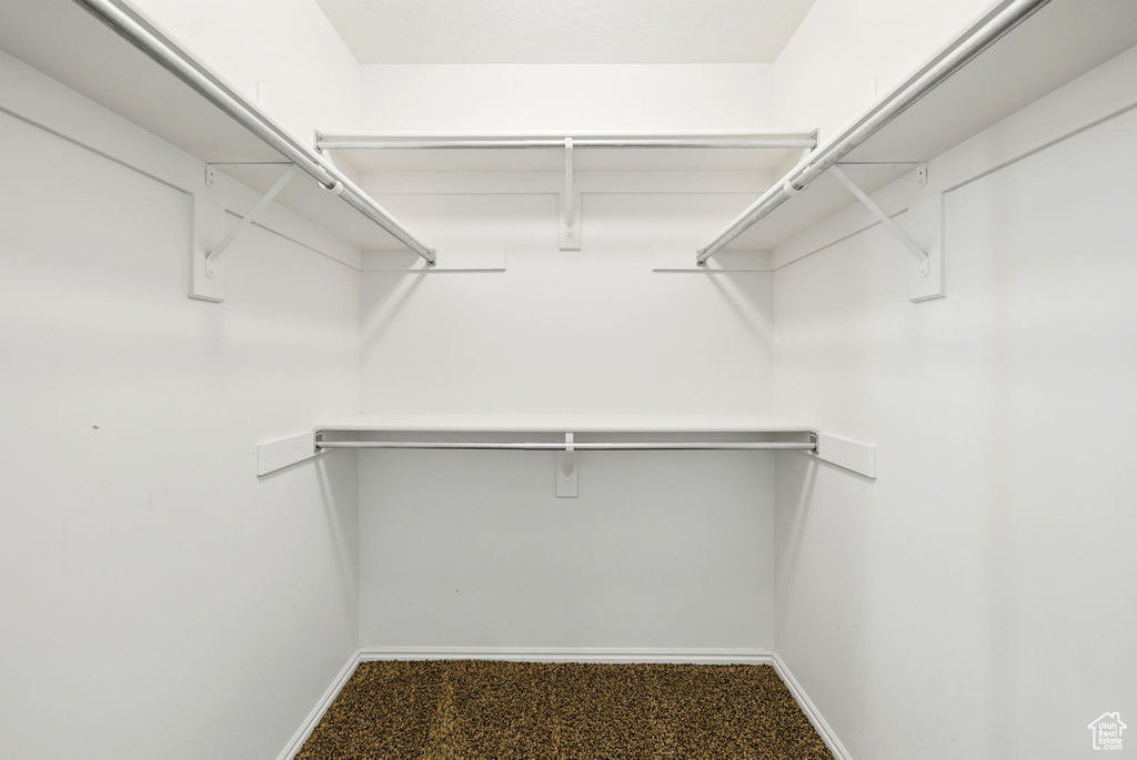 Walk in closet featuring carpet
