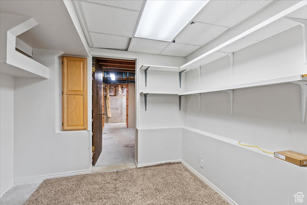 Finished basement featuring baseboards, carpet floors, and a paneled ceiling