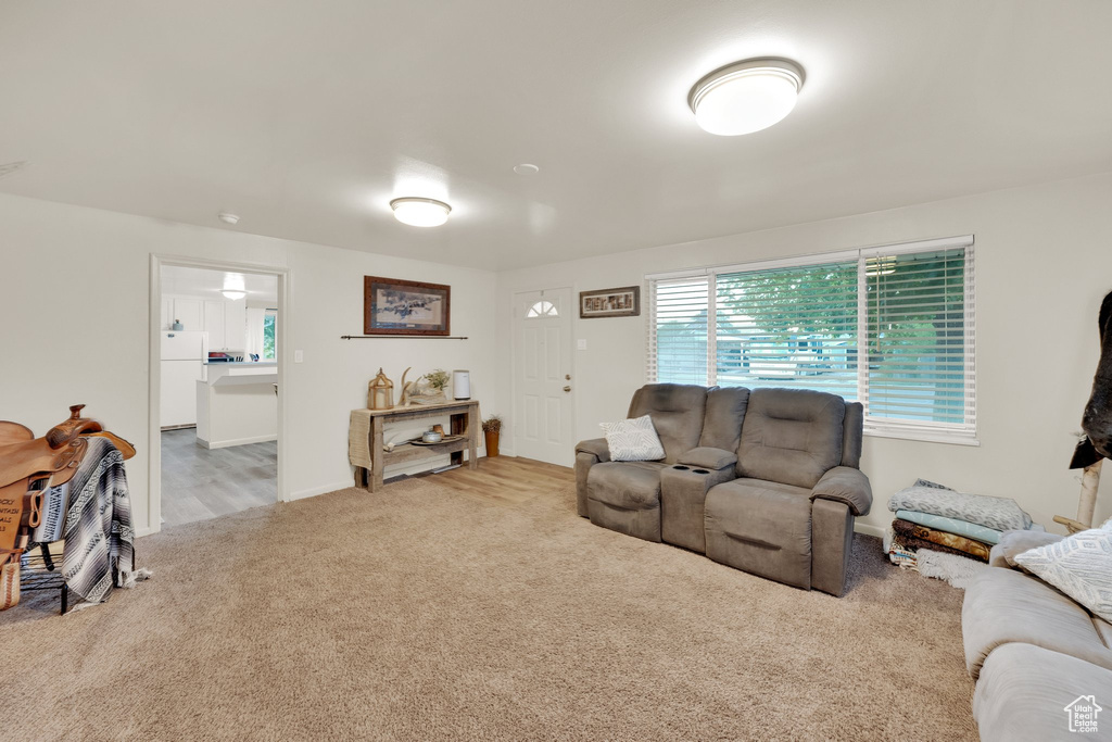 Carpeted living area featuring baseboards