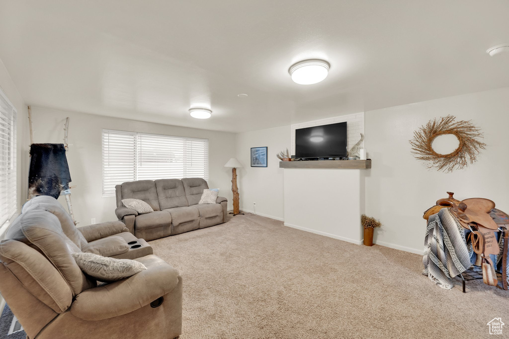 Living room featuring carpet and baseboards