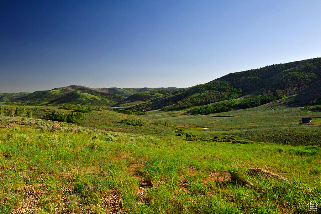 View of mountain background