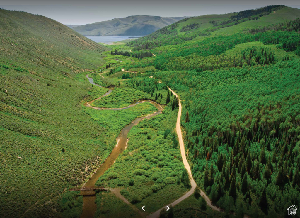 Aerial view of property's location with a mountain backdrop and a forest