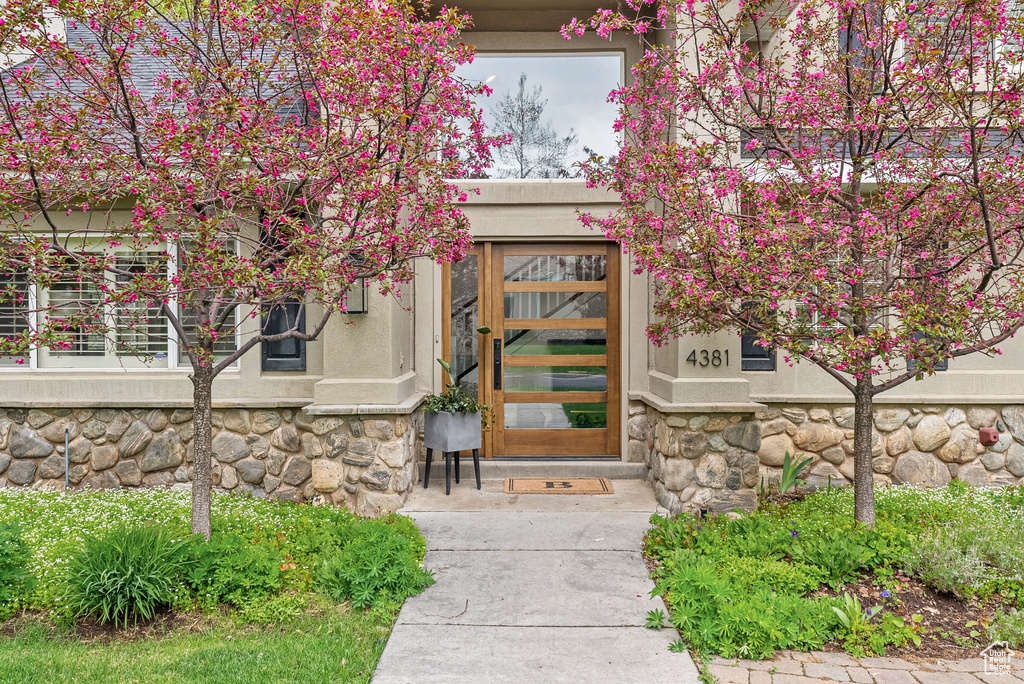 View of exterior entry with stone siding and stucco siding