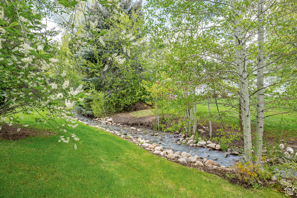 View of grassy yard