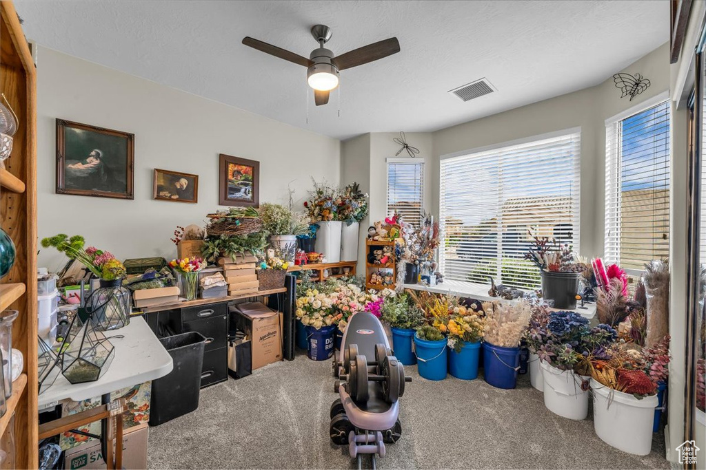 Office with a ceiling fan, carpet, and healthy amount of natural light