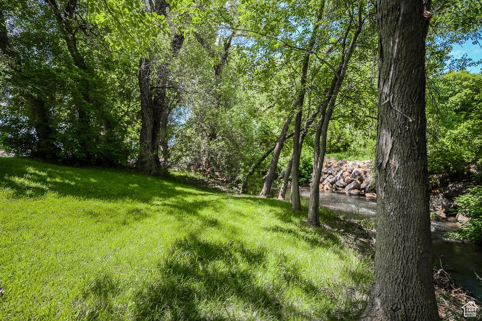 View of grassy yard