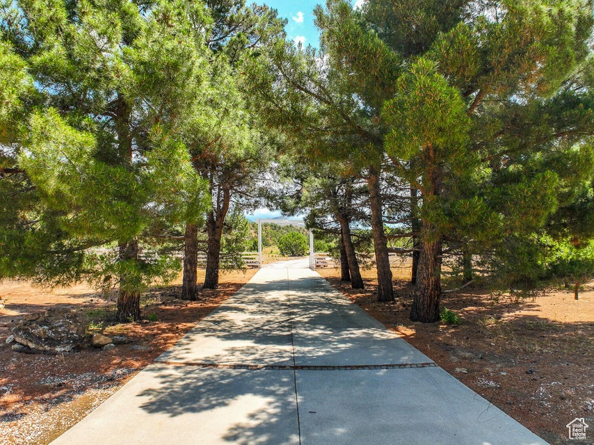 View of home\\\'s community with concrete driveway
