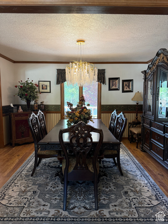 Dining space featuring a chandelier, wainscoting, a textured ceiling, wood finished floors, and ornamental molding