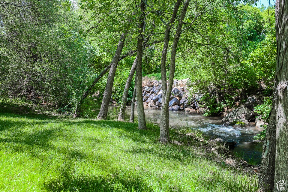 View of yard featuring a view of trees
