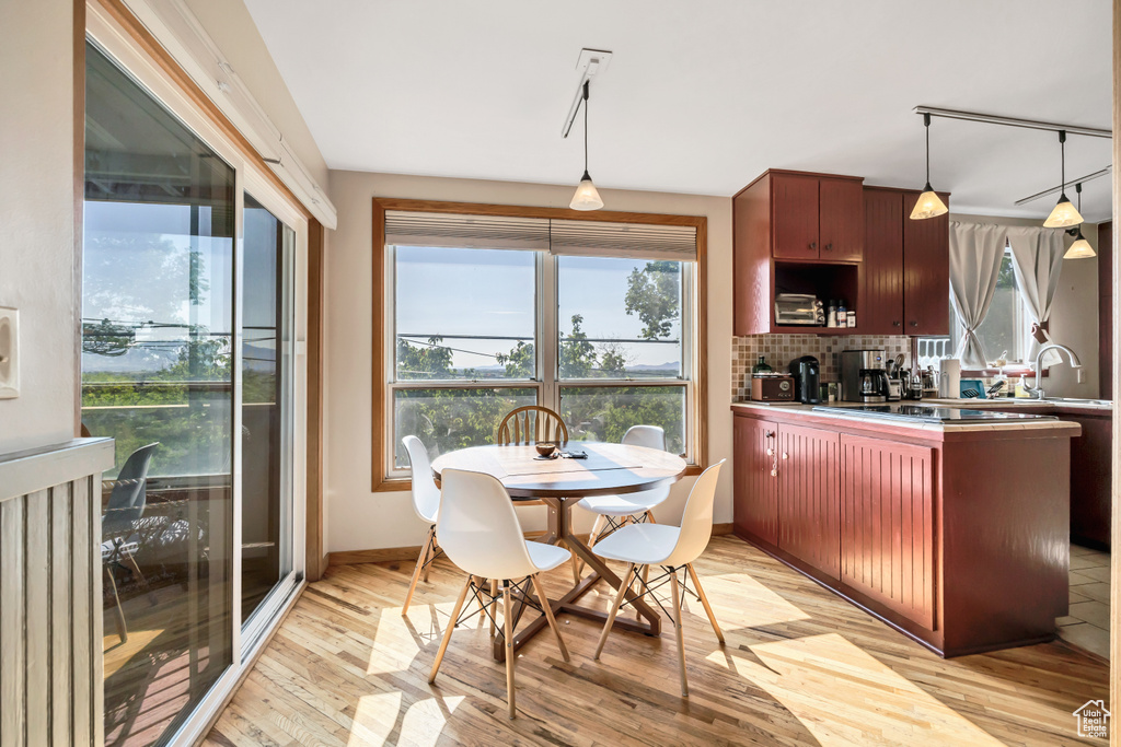 Kitchen featuring a sink, light wood-style flooring, and healthy amount of natural light