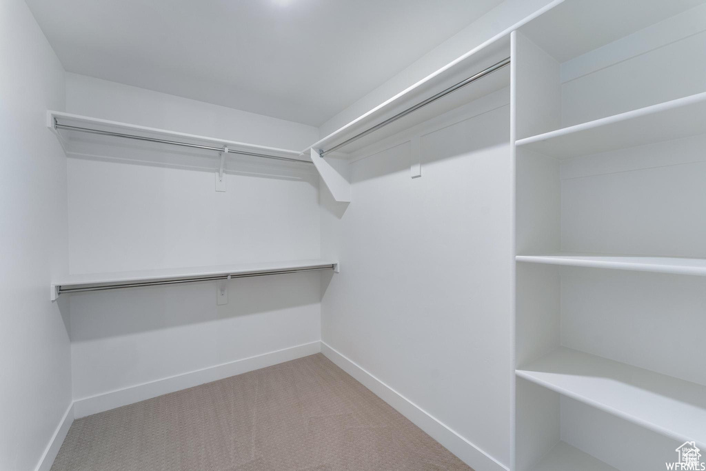 Walk in closet featuring carpet floors