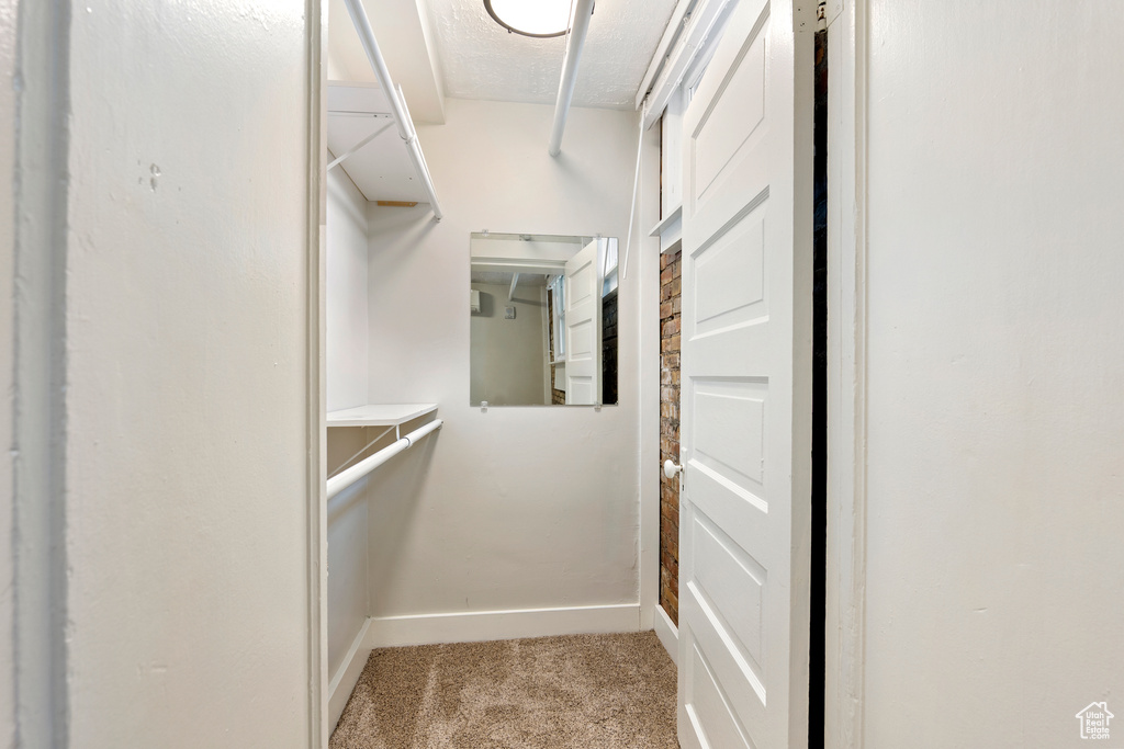 Spacious closet with carpet