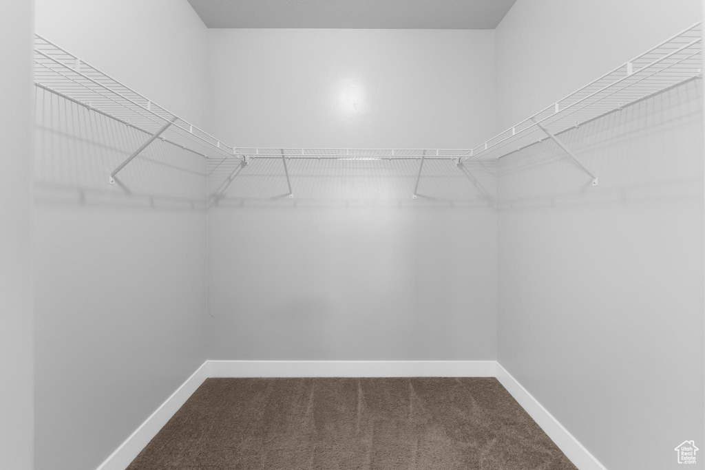 Spacious closet featuring carpet