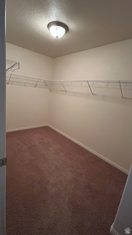 Walk in closet featuring carpet floors