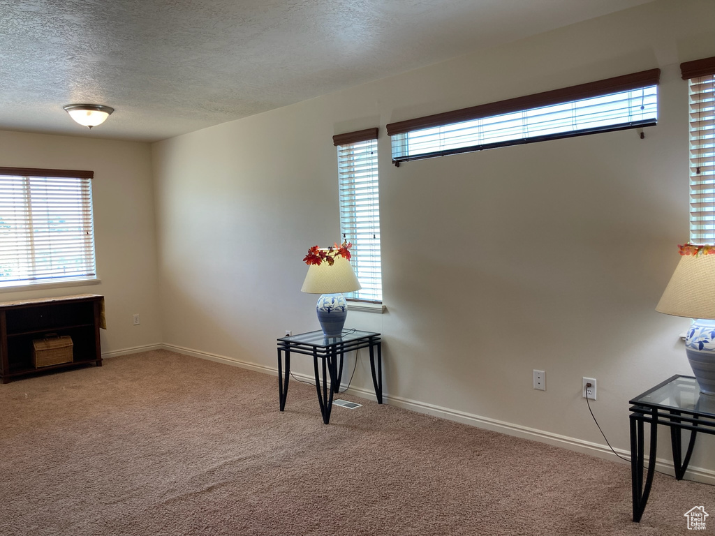 Office featuring a textured ceiling, carpet flooring, healthy amount of natural light, and baseboards