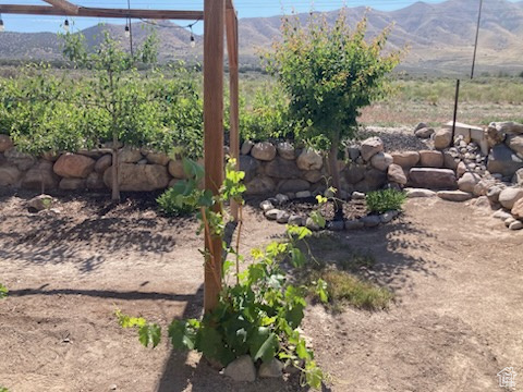 View of yard with a mountain view
