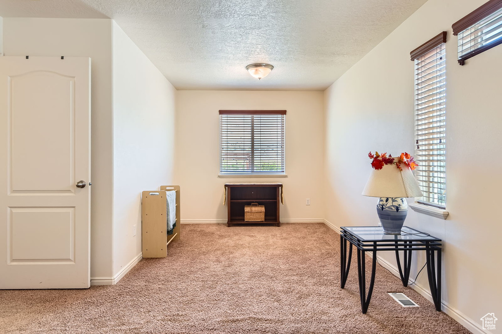 Carpeted spare room with a textured ceiling, plenty of natural light, and baseboards