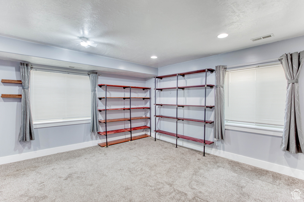 Walk in closet with carpet flooring