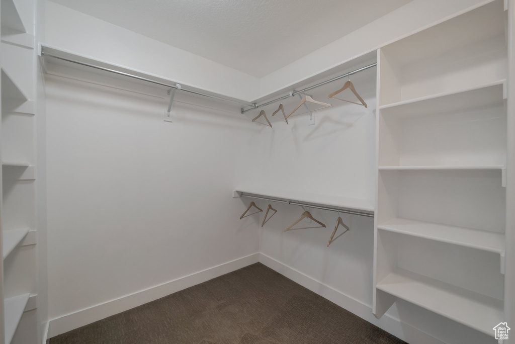 Spacious closet featuring dark carpet