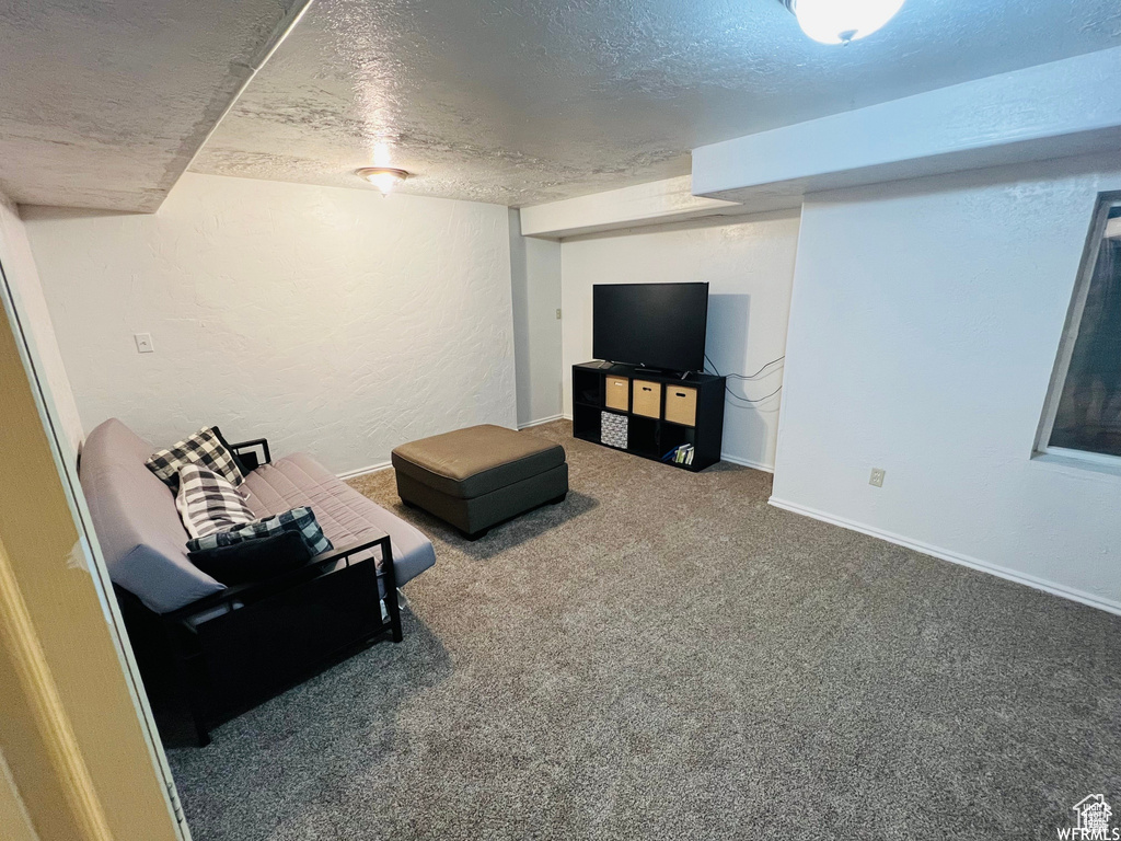 Living area featuring a textured ceiling, carpet, and baseboards