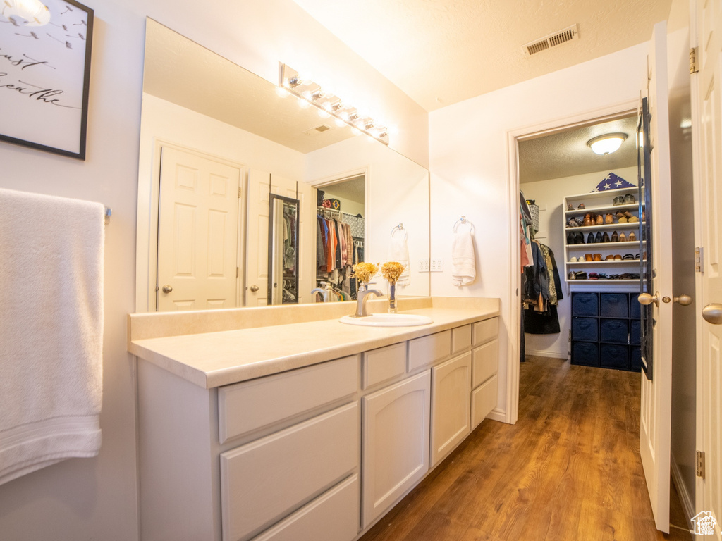 Bathroom featuring a spacious closet, vanity, and wood finished floors