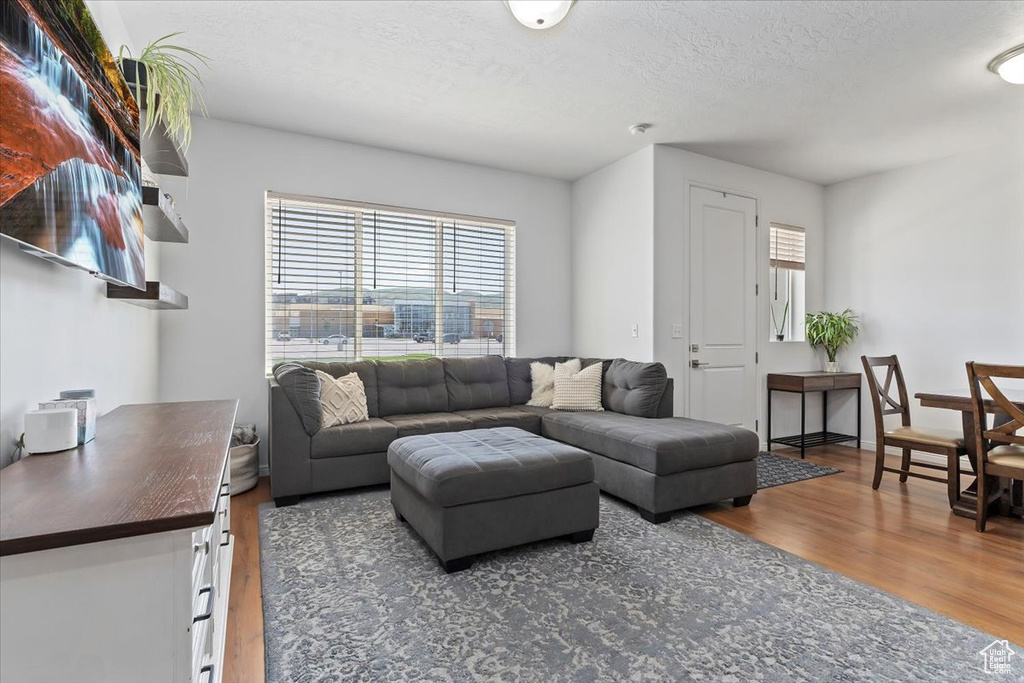 Living room featuring wood finished floors and a textured ceiling