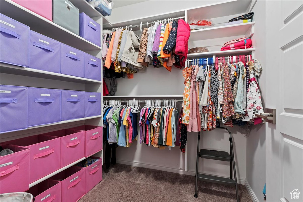 Spacious closet featuring carpet flooring