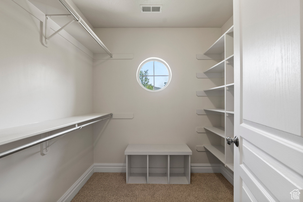 Spacious closet with light carpet