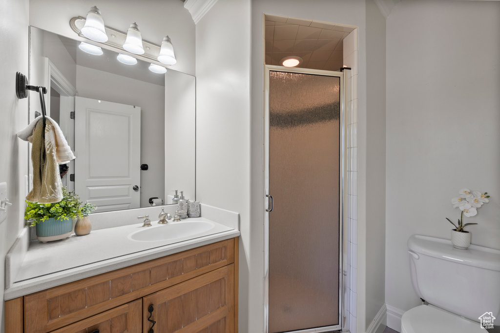 Bathroom featuring vanity, a shower stall, and toilet