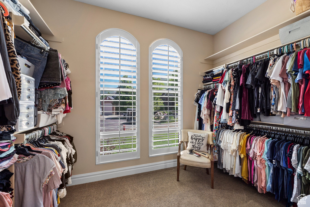 Spacious closet with carpet flooring