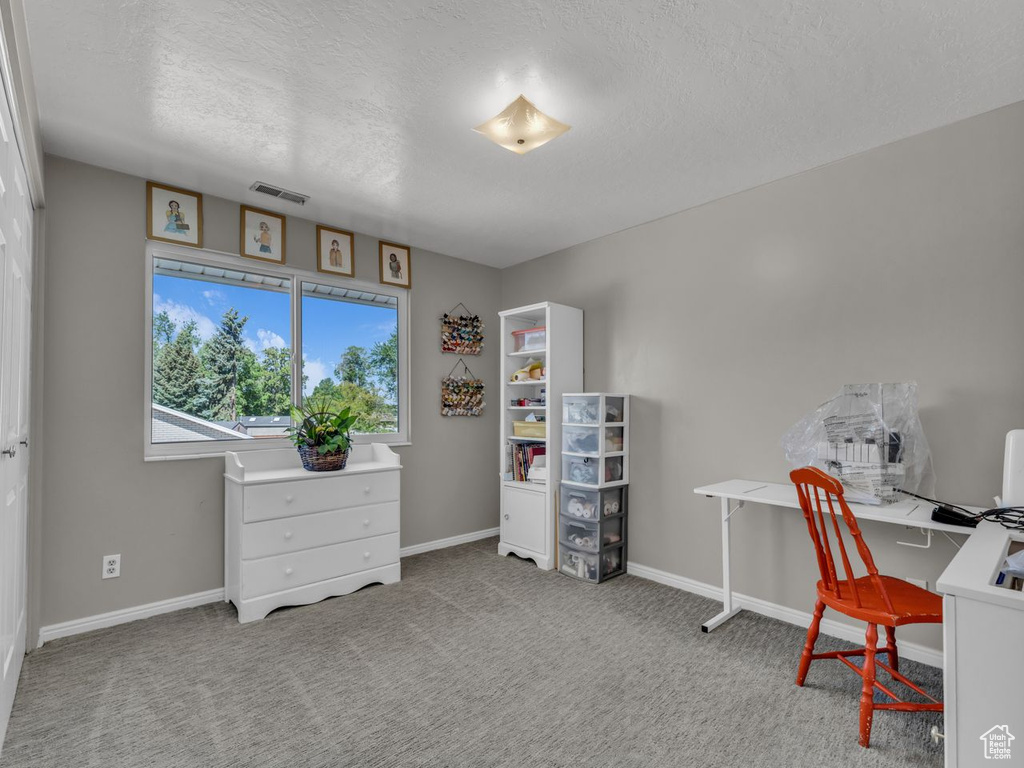 Office featuring carpet, baseboards, and a textured ceiling