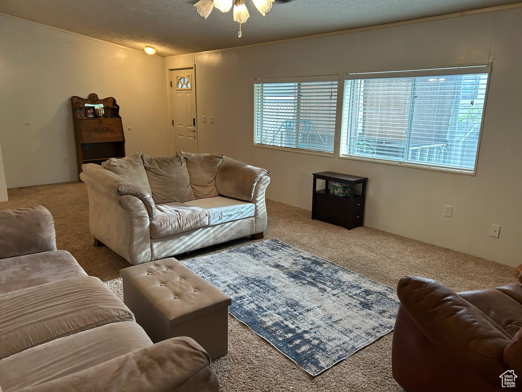 Living room featuring carpet floors, a ceiling fan, and a textured ceiling