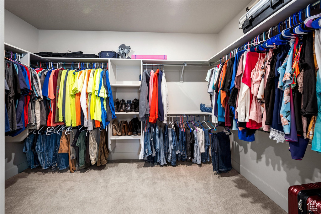 Walk in closet featuring carpet floors
