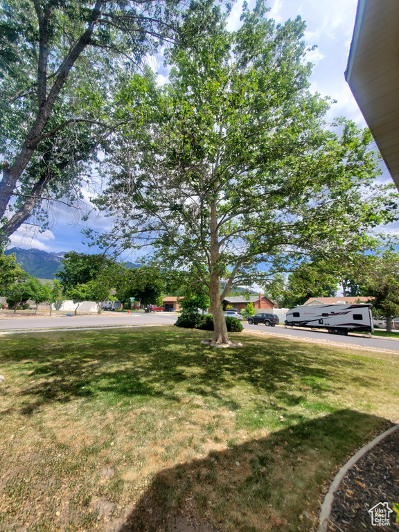 View of grassy yard