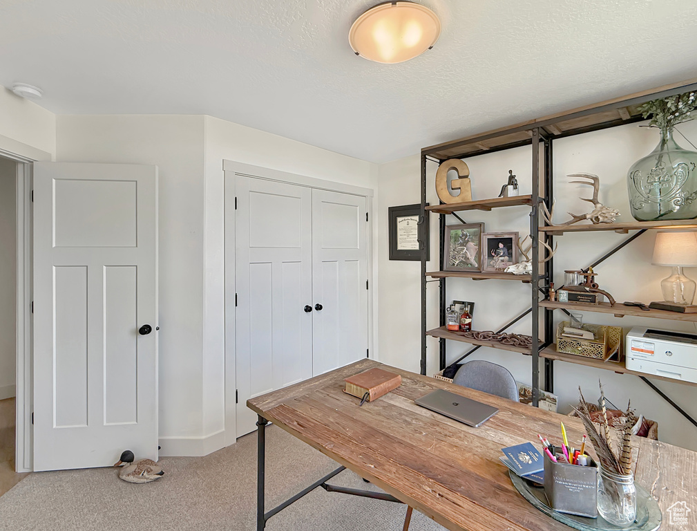 Office area featuring carpet flooring