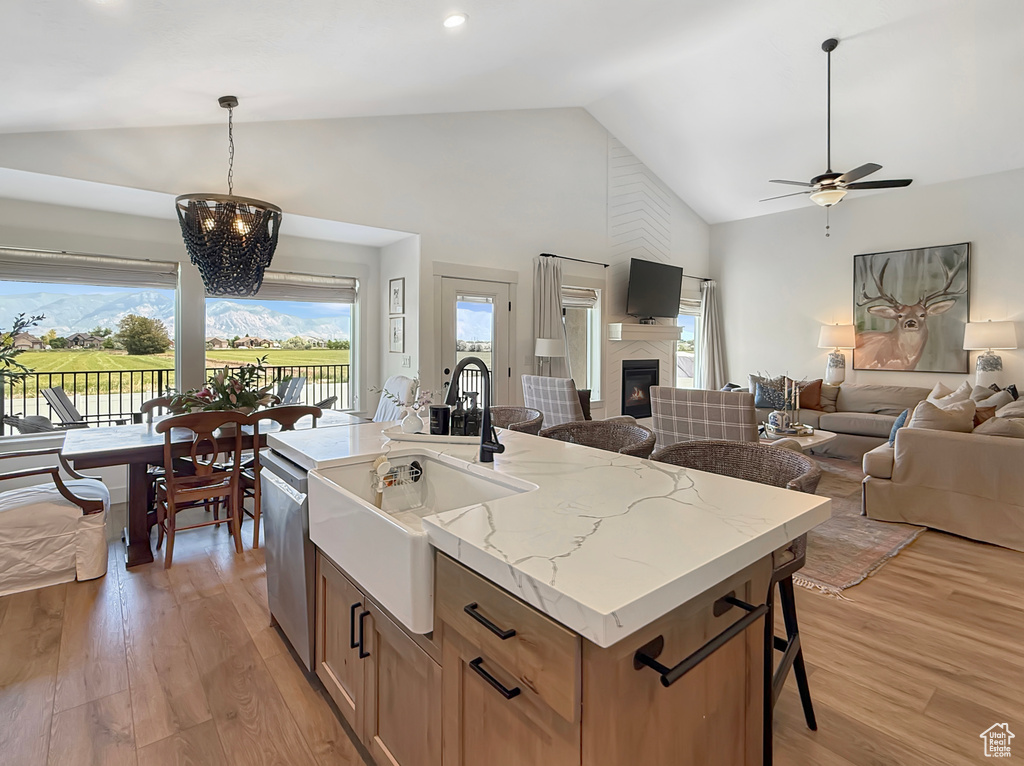 Kitchen featuring a sink, stainless steel dishwasher, high vaulted ceiling, open floor plan, and light wood-type flooring