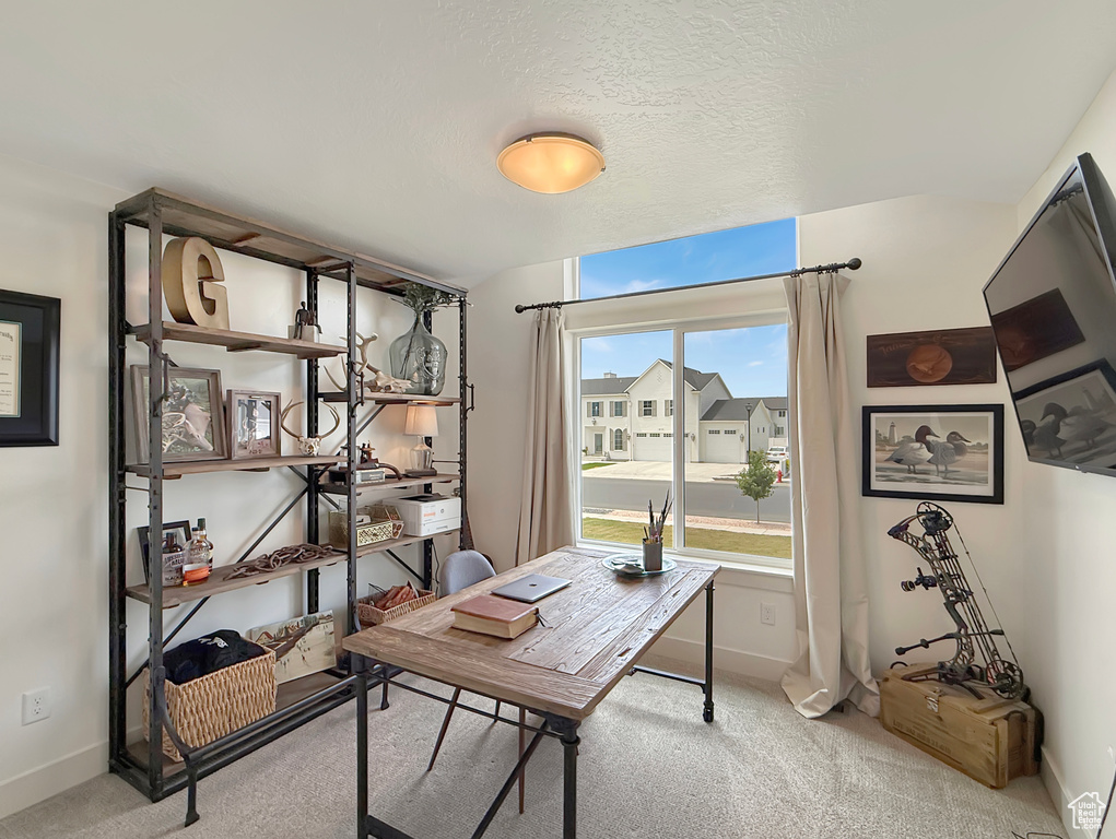 Home office with carpet floors and baseboards