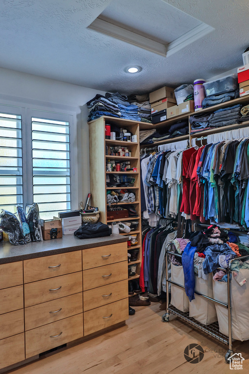 Spacious closet with light wood-type flooring