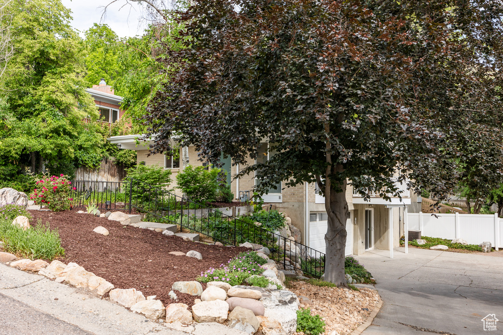 View of property hidden behind natural elements featuring concrete driveway