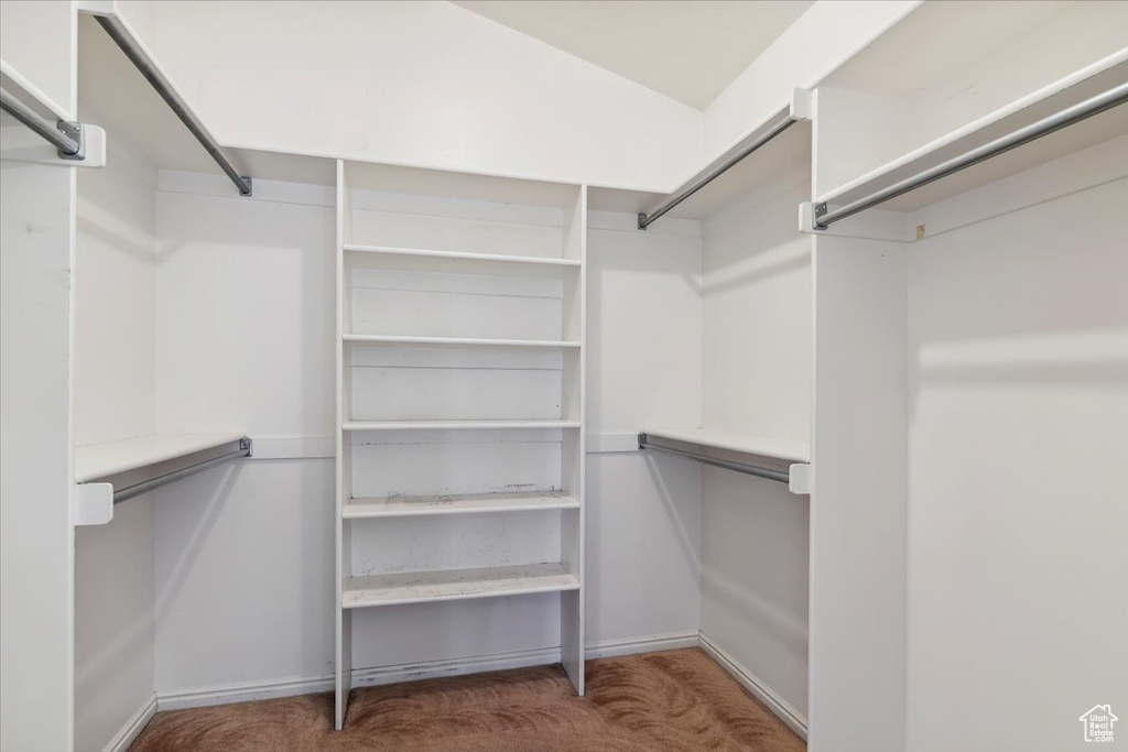 Walk in closet with carpet floors